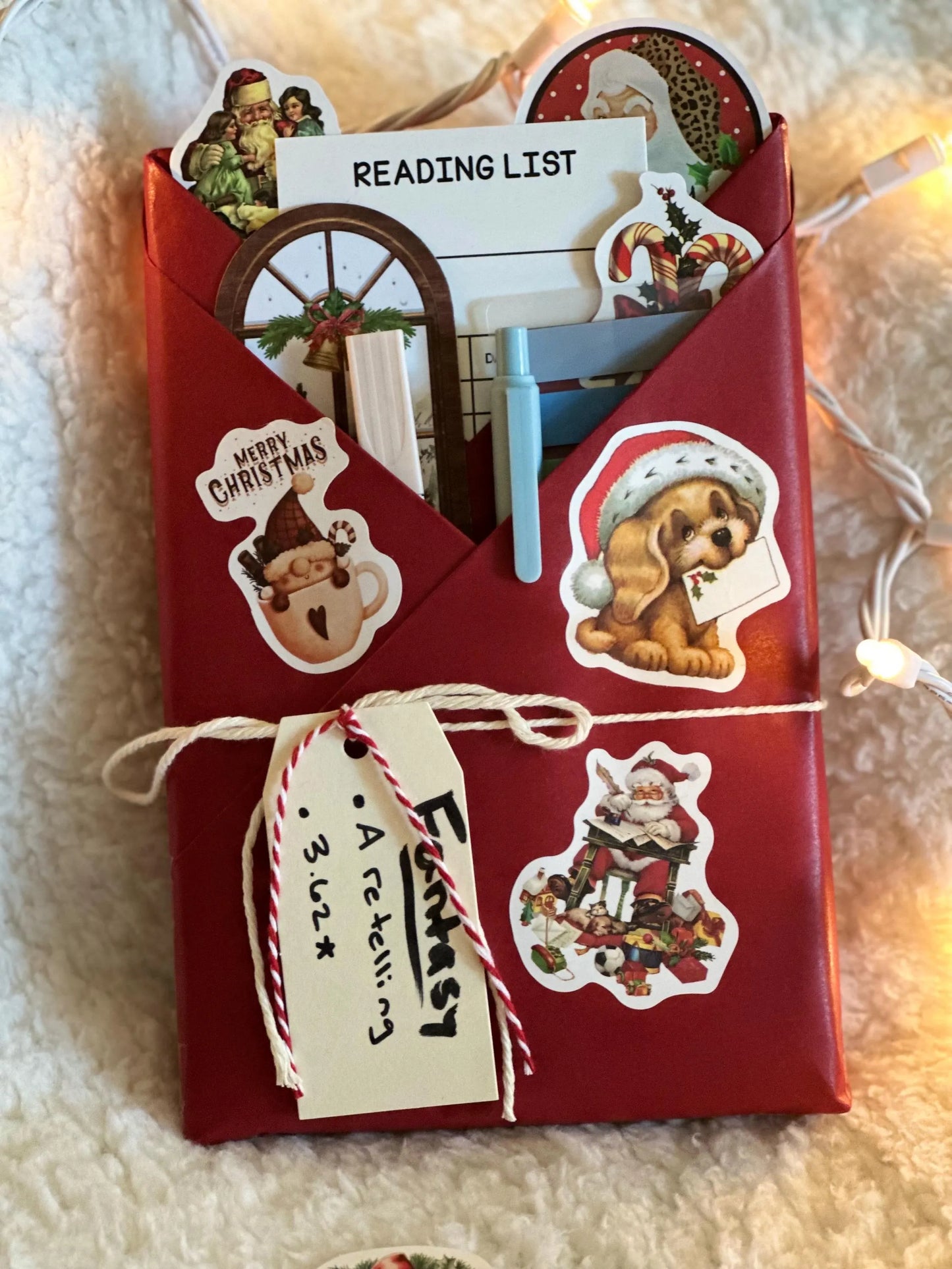 Holiday ❄️ Blind Date with a Book