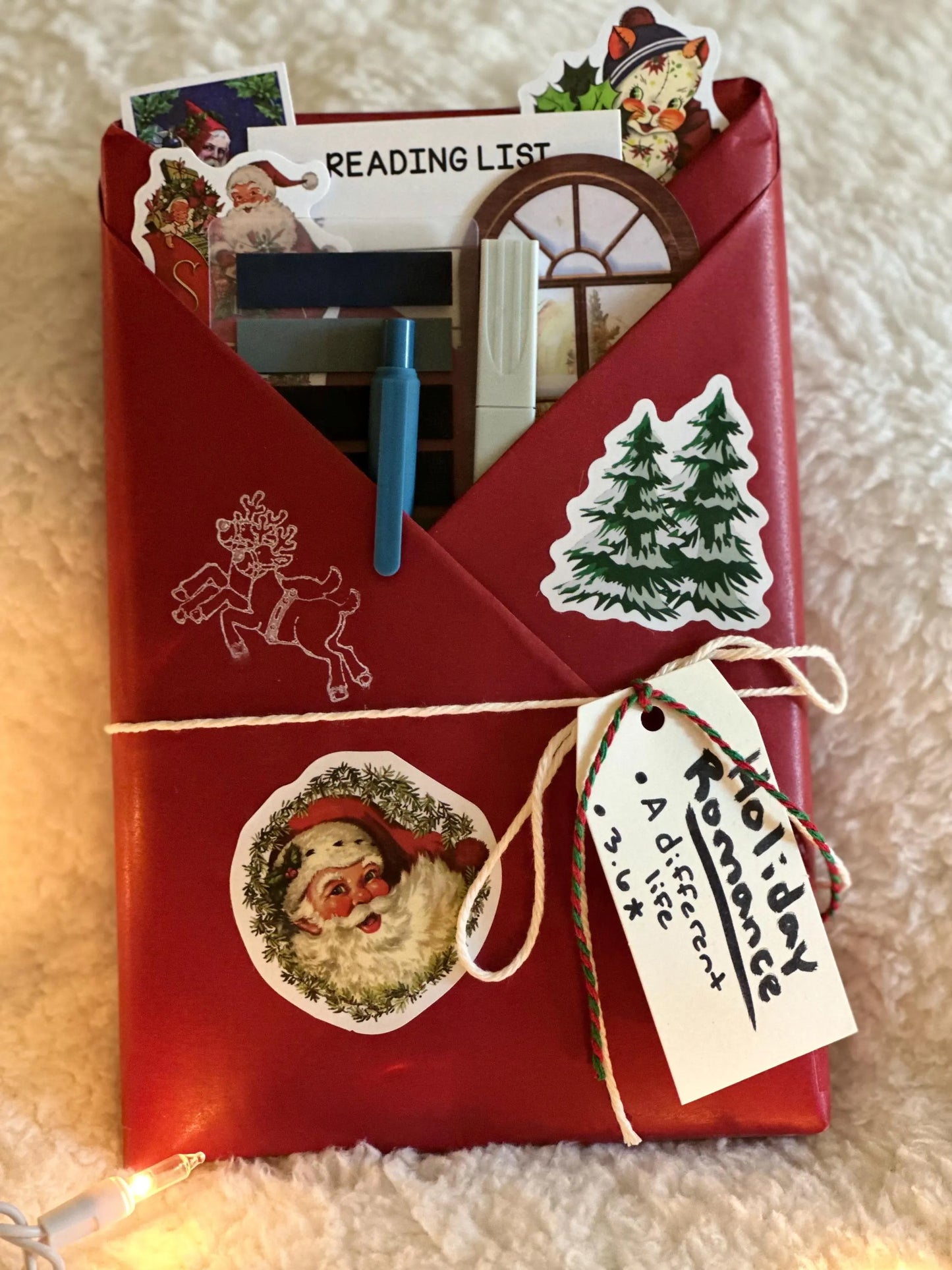 Holiday ❄️ Blind Date with a Book