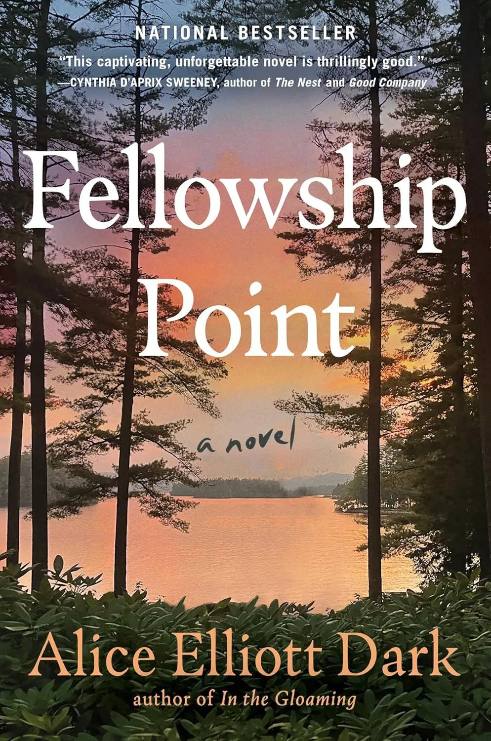 Fellowship Point by Alice Elliott Dark