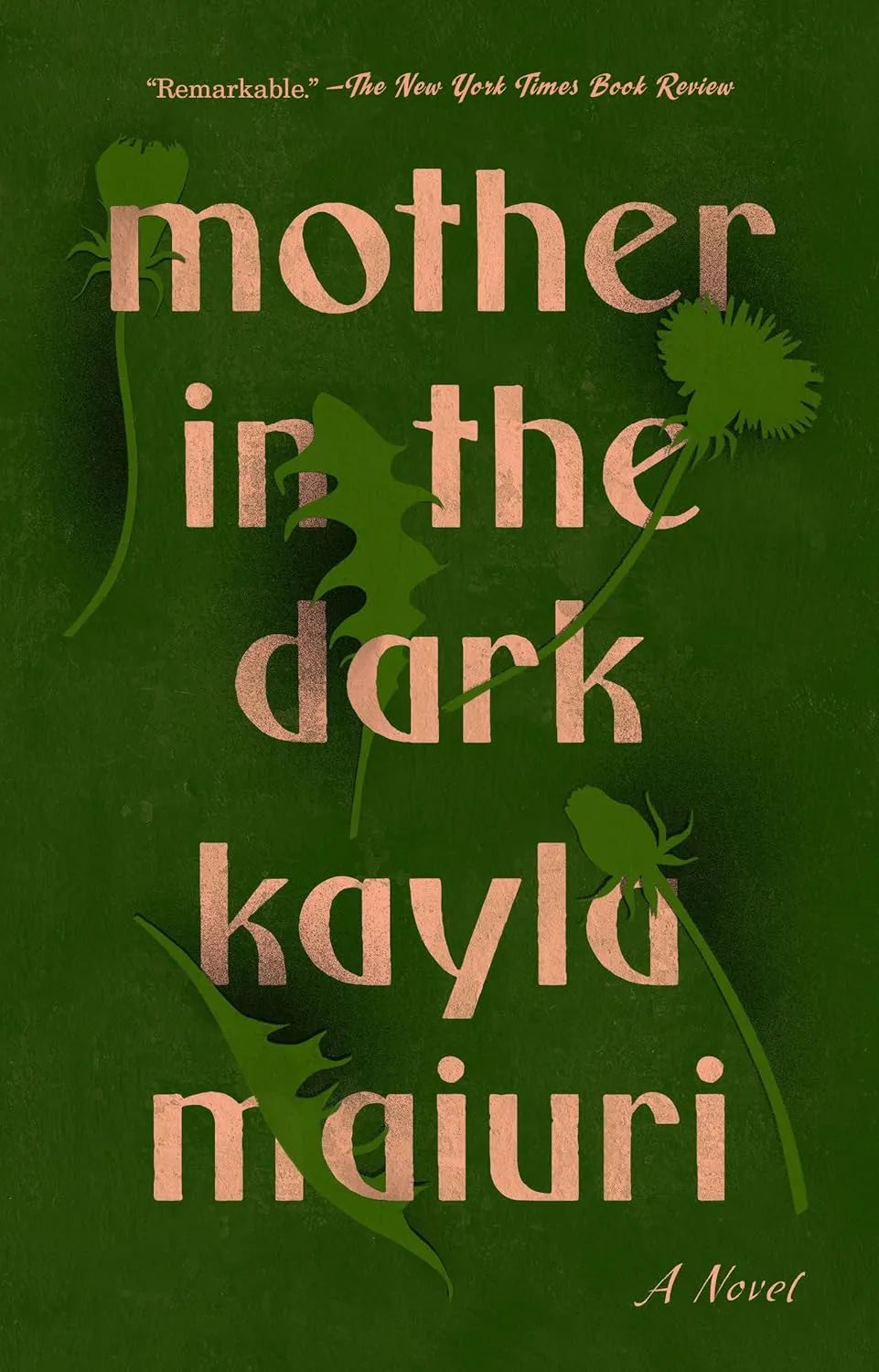 Mother in the Dark by Kayla Maiuri